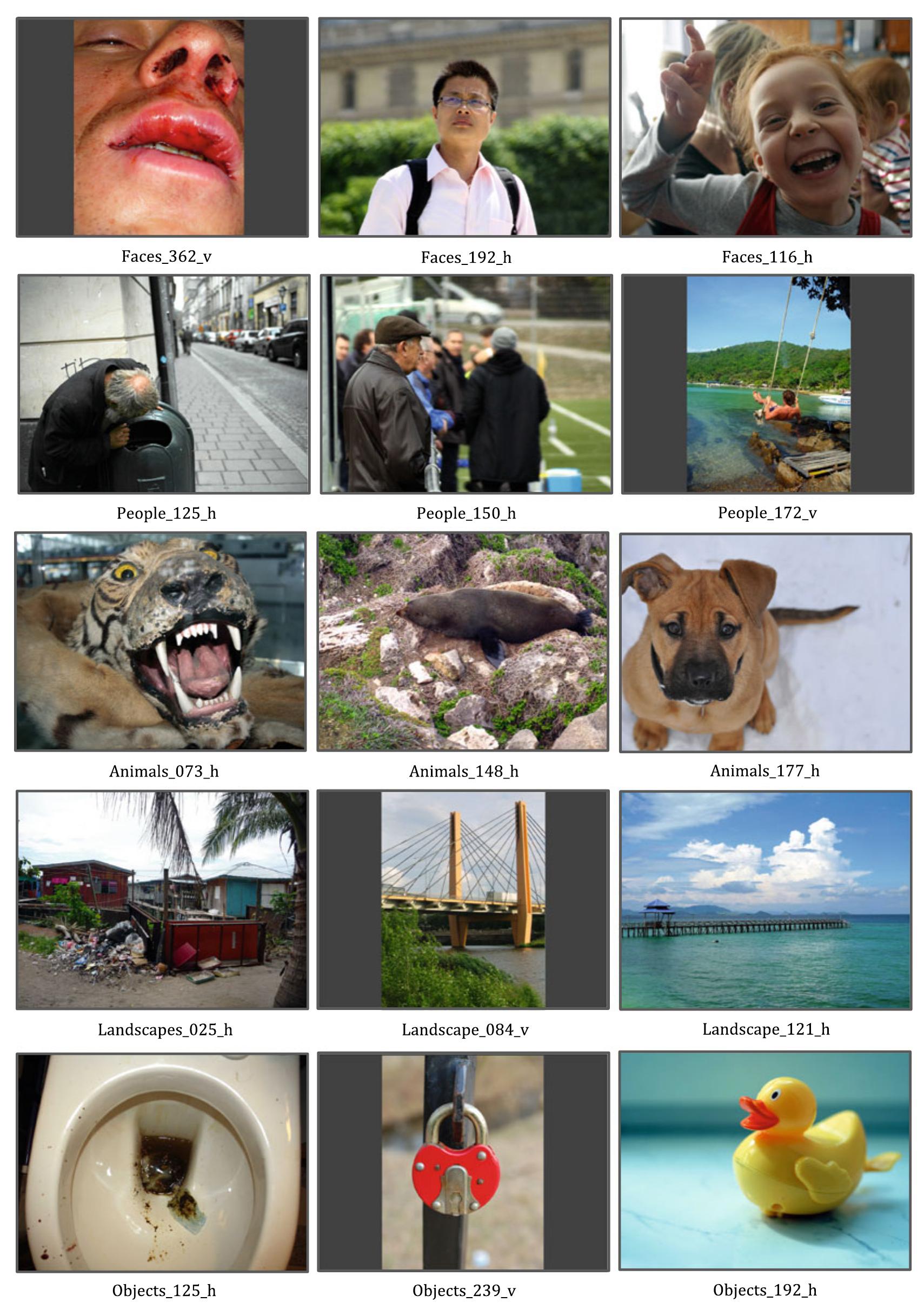 (PDF) The Nencki Affective Picture System (NAPS): Introduction to a ...