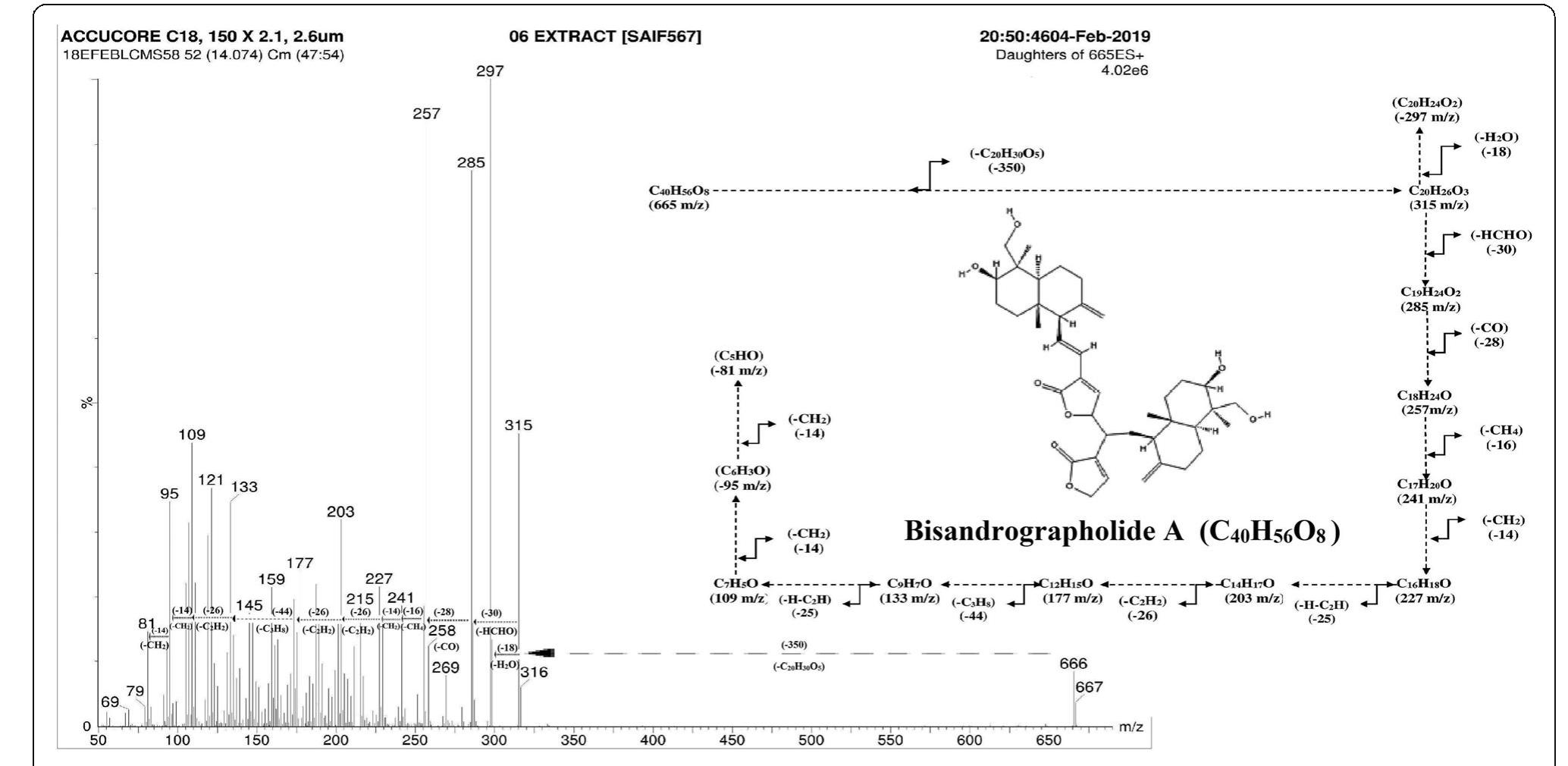 Fragmented Structure Fragmentation pathway of bisandrographolide a lc-ms/ms-based