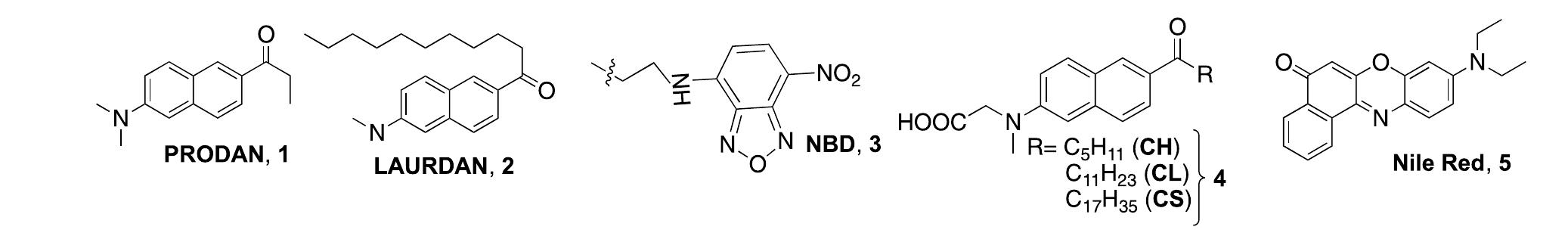 Prodan Chemical structures of the probes used for studying the