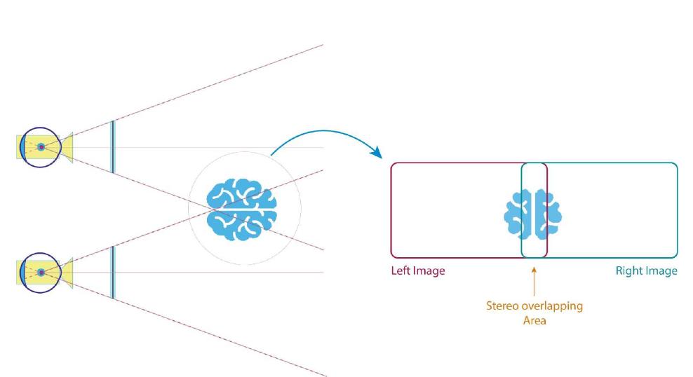 (PDF) Toed-in vs Parallel Displays in Video See-Through Head-Mounted ...