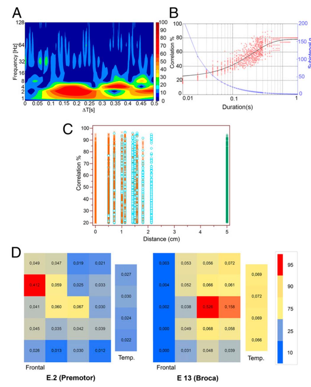 Sentence Processing Ecog (a) diagram showing the evolution of cross-correlation