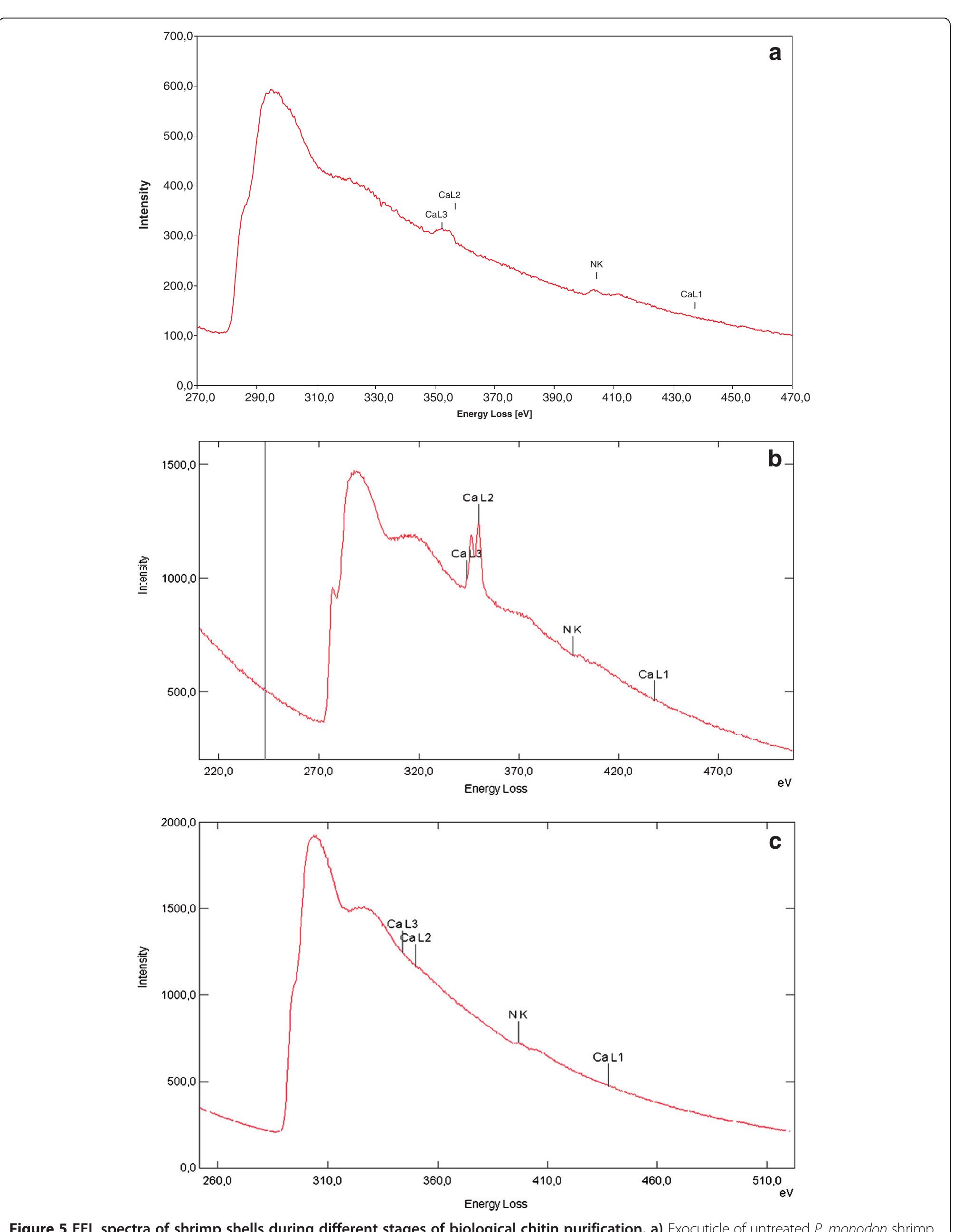Figure 5 - Transformation of the matrix structure of shrimp