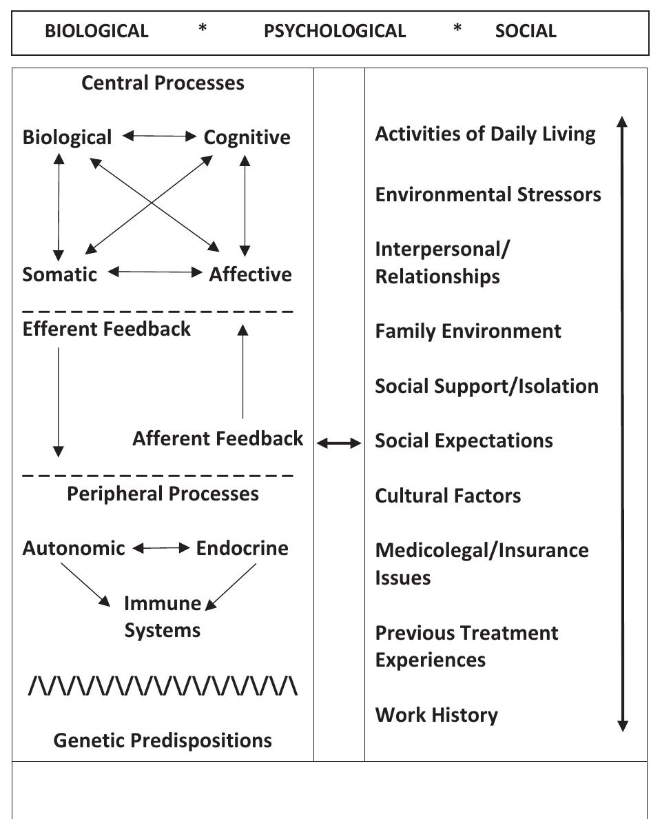 Figure 1 - from Adaption of the Biopsychosocial Model of