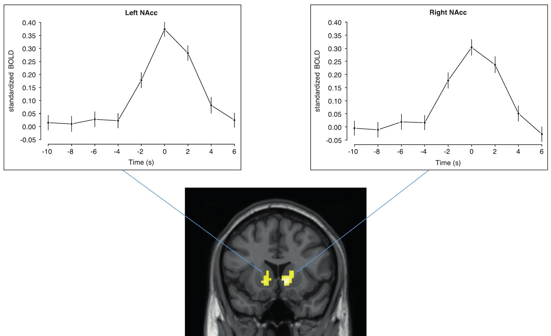 Fig. 4. Time course plots of neural activity in both NAcc clusters. The result pattern for both clusters shows a steep increase of NAcc activity 4s before the button is pushed (thereby converging roughly with the beginning of the prechill in Figure 2), reaching its peak at the time point when the chill sets in, and a return to baseline during the time when the actual chill is experienced. Error bars indicate the standard error of the mean. 