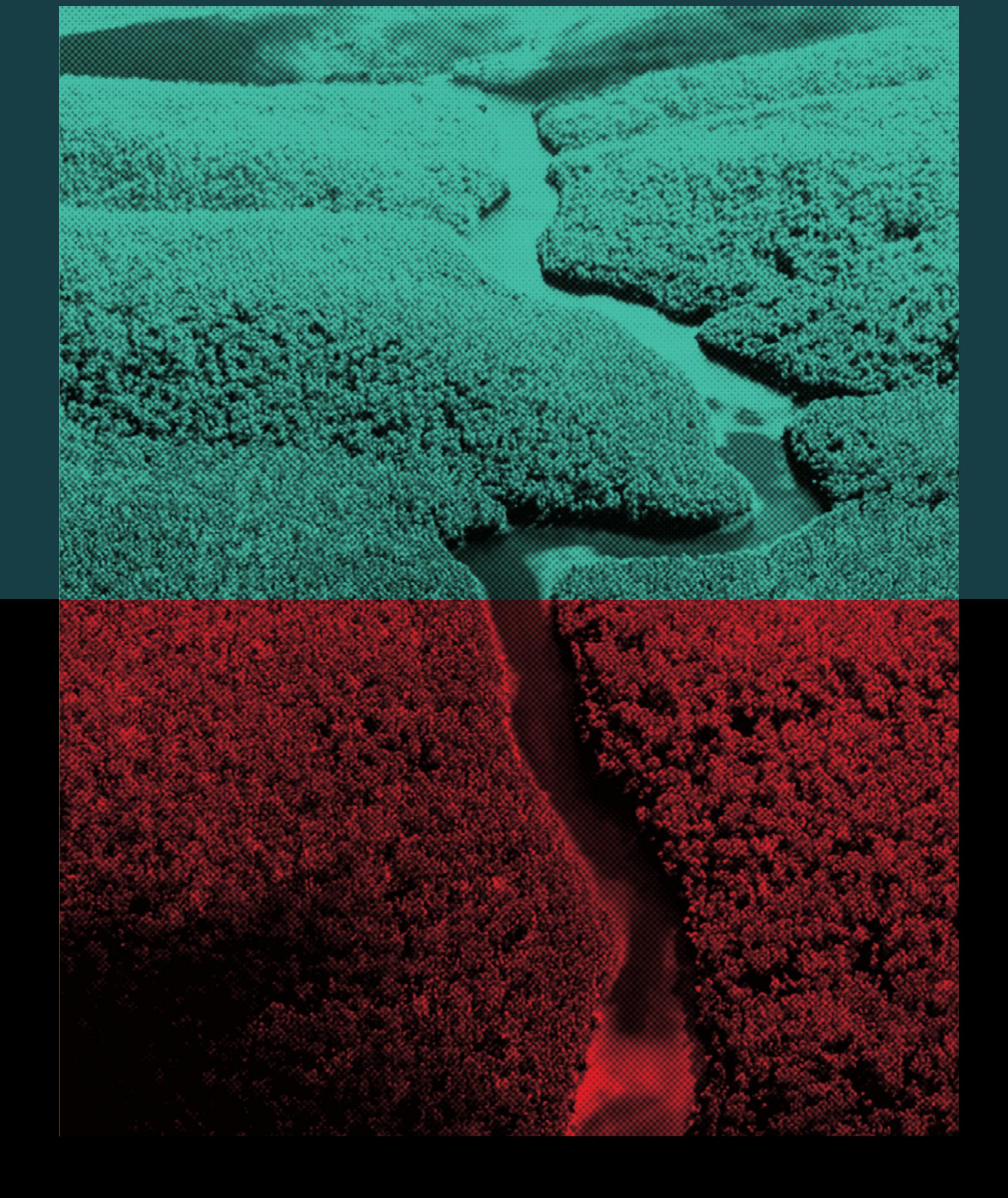 Figure 1 - from Science Panel for the Amazon Amazon