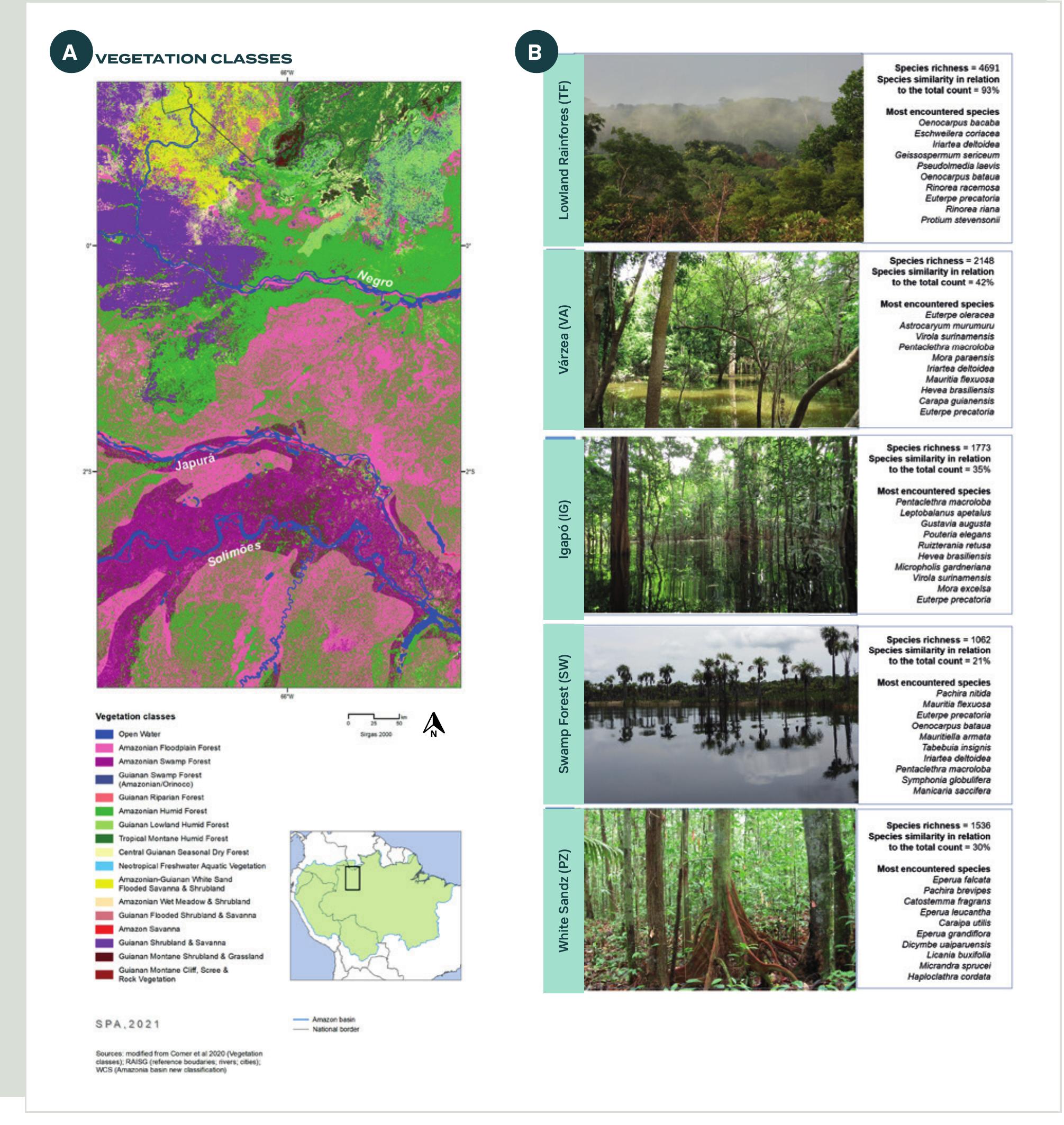 (PDF) Science Panel for the Amazon Amazon Assessment Report 2021
