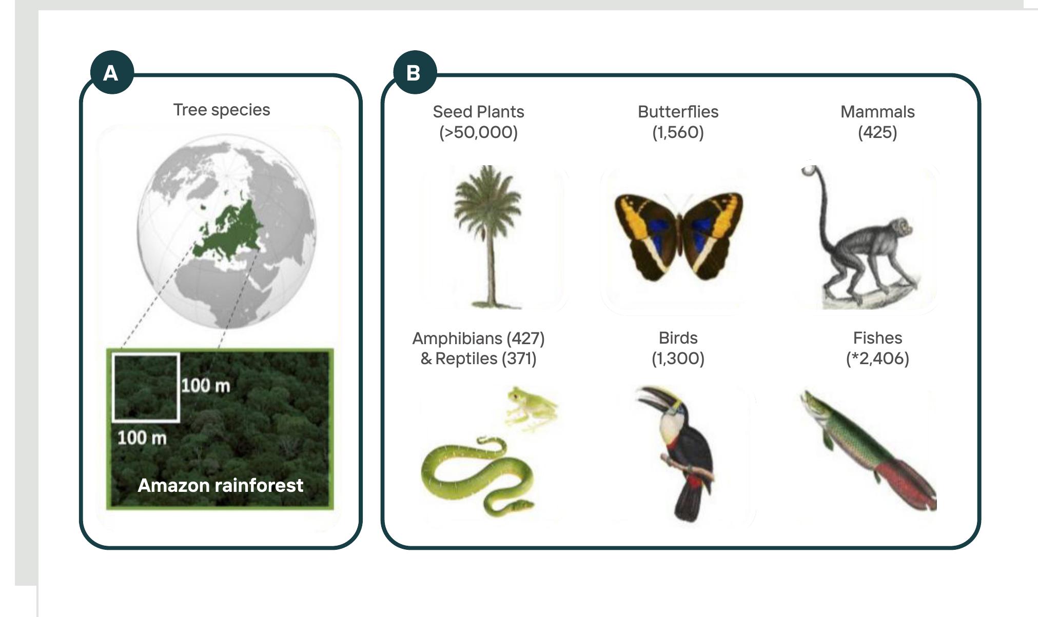 (PDF) Science Panel for the Amazon Amazon Assessment Report 2021