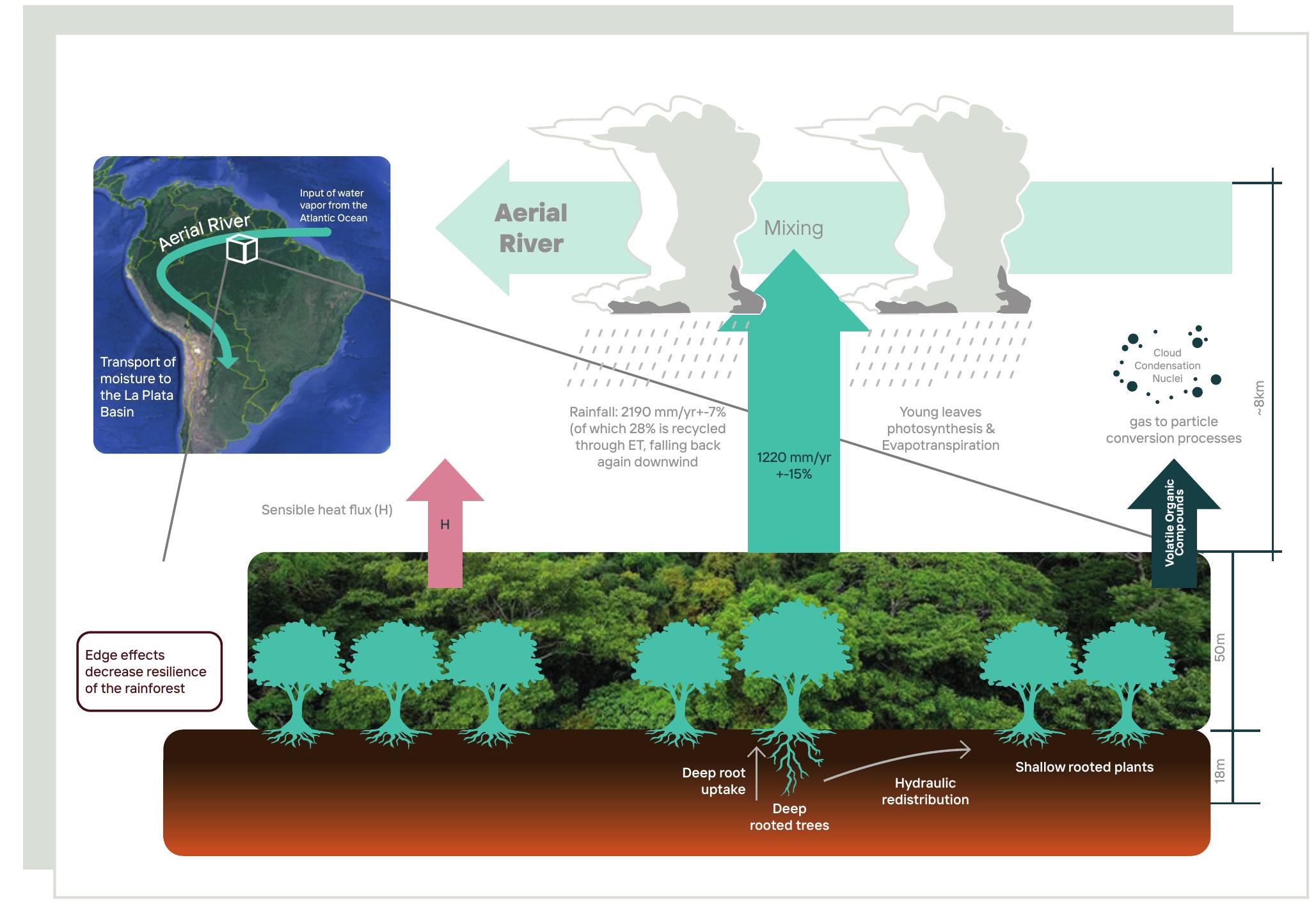 (PDF) Science Panel for the Amazon Amazon Assessment Report 2021