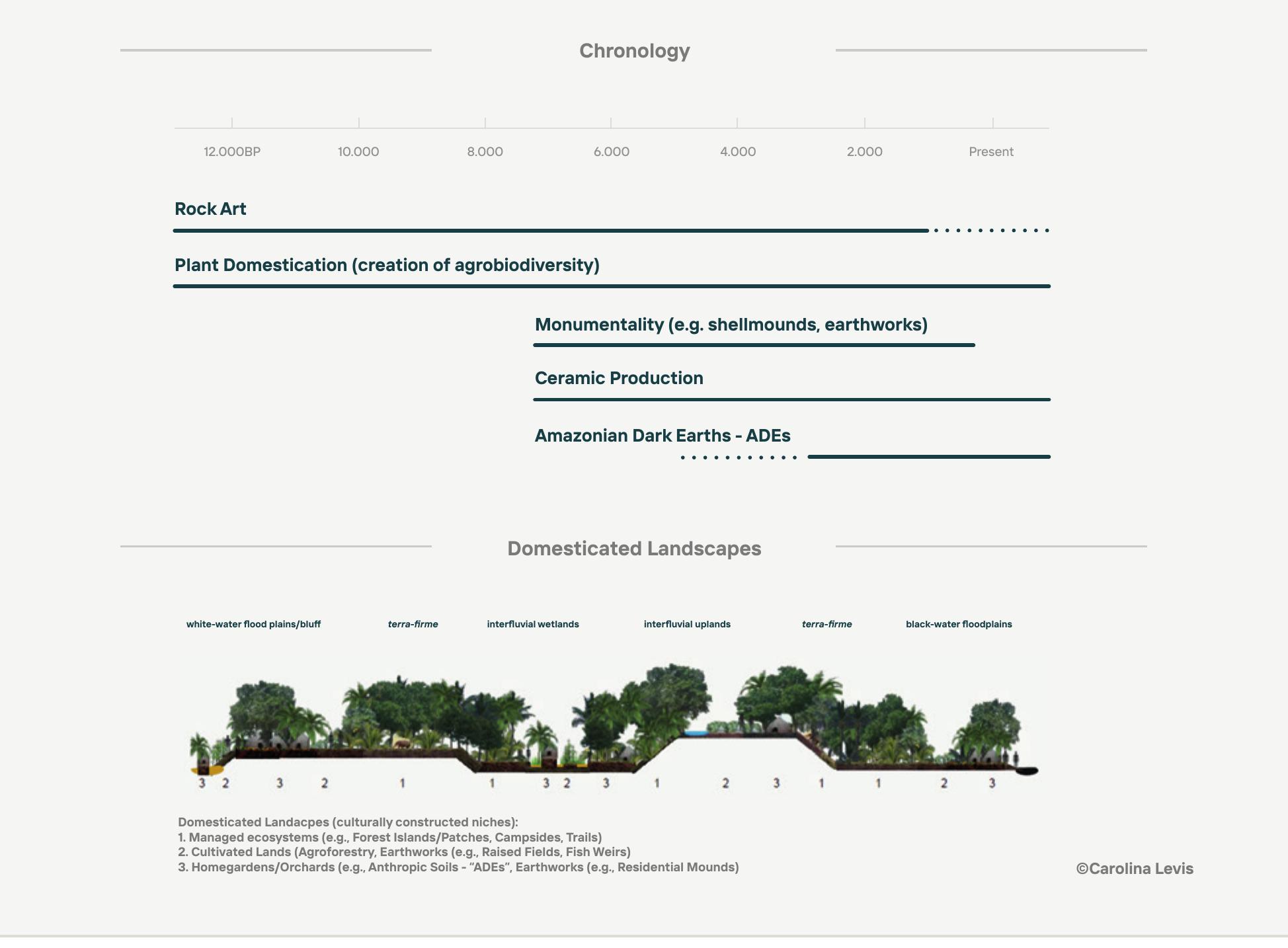 (PDF) Science Panel for the Amazon Amazon Assessment Report 2021