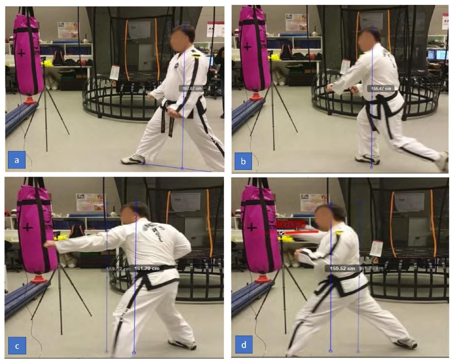 (PDF) Evaluating Martial Arts Punching Kinematics Using a Vision and ...