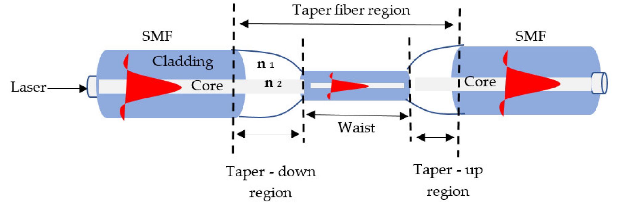 Schematic illustration of the tapered fiber standard [56].