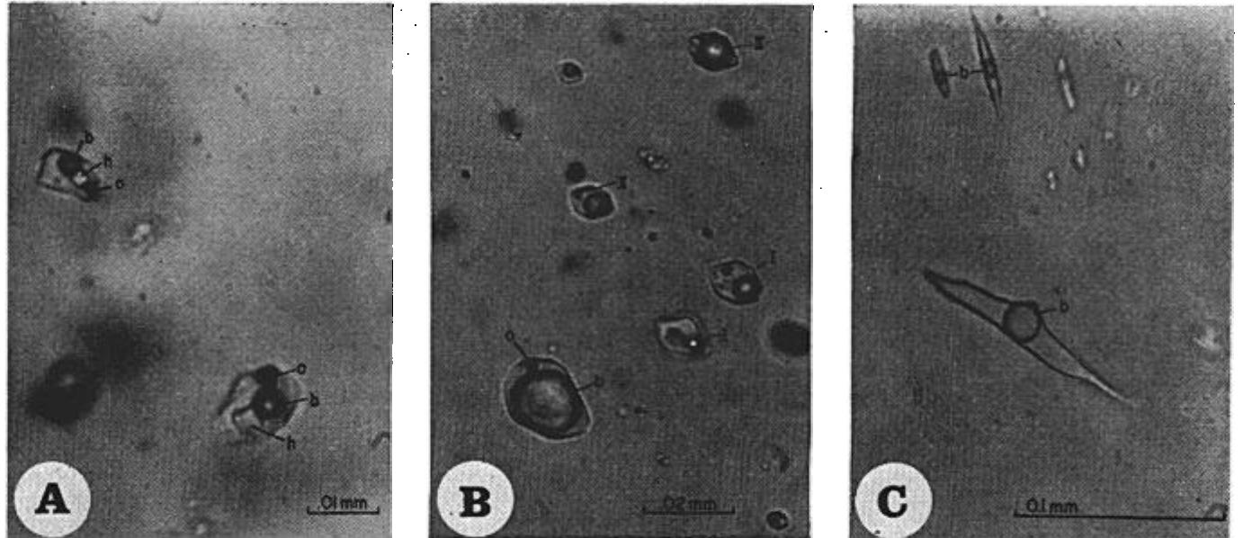 Fic. 26. types of fluid inclusions at el salvador. a, type