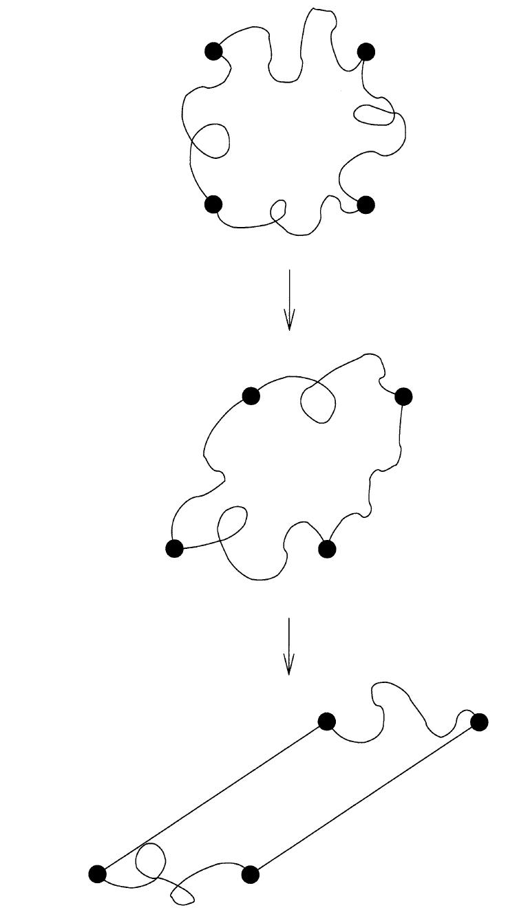Schematic representation of a part of the network under