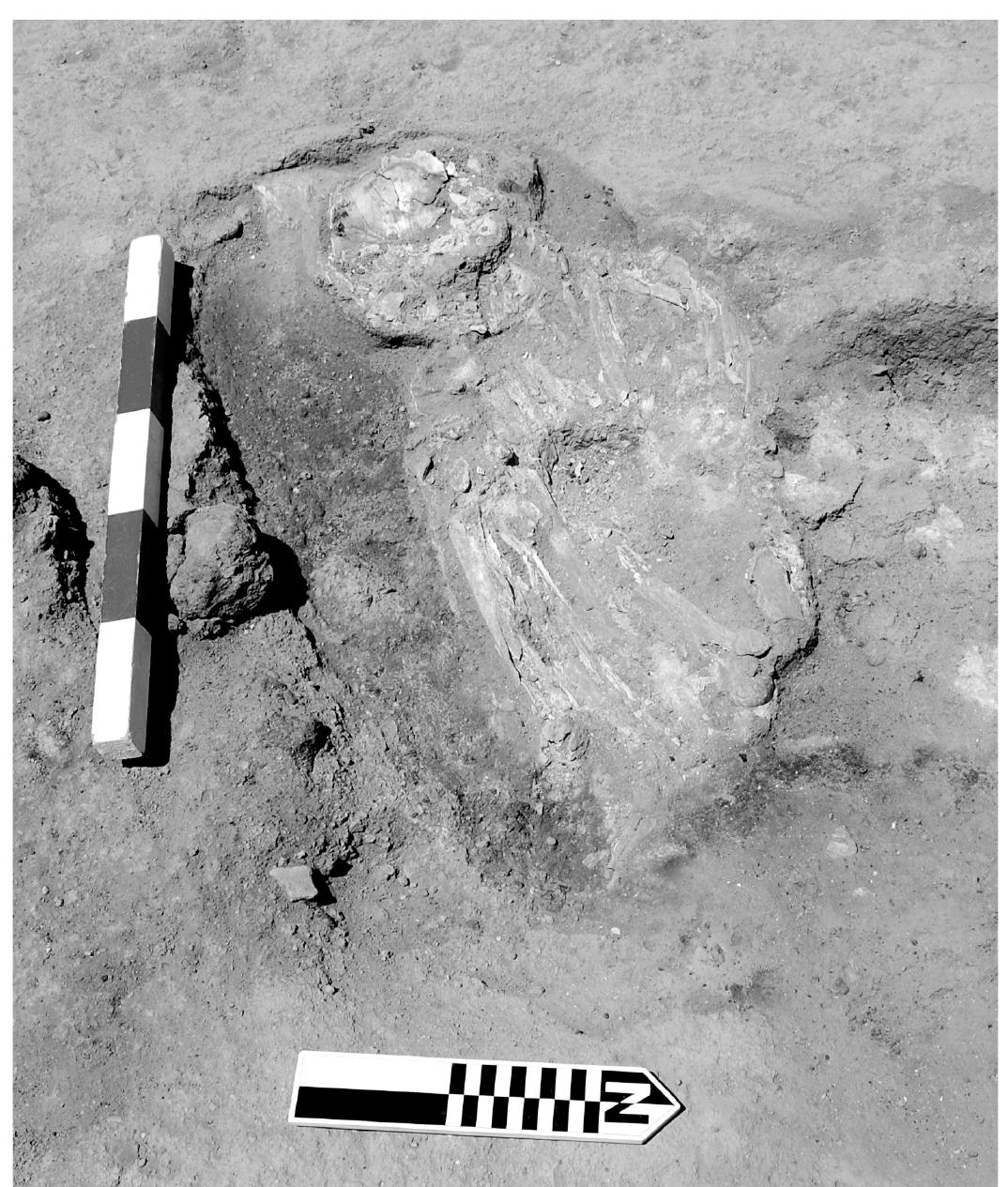 Table 4-1. Late Chalcolithic occupational phases discussed in the text.  Figure 4-3. Photo of the sub-adult burial (F18) behind/near the Non-Domestic Building. This is one of only two non- infant/child burials discovered in the Late Chalcolithic 