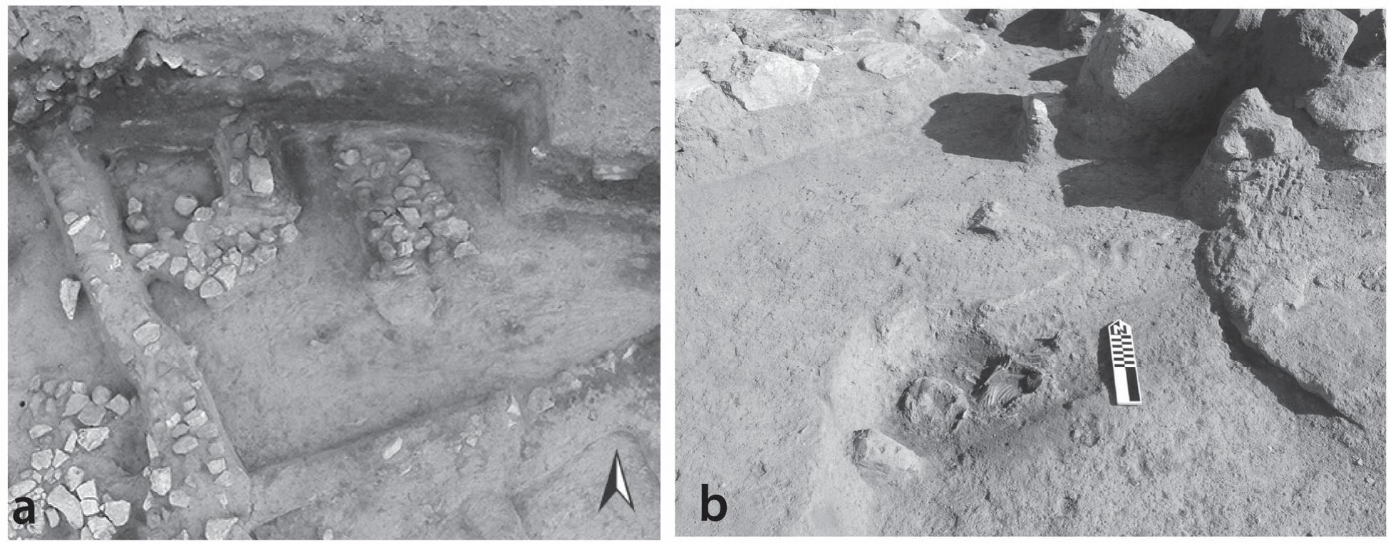 Figure 4-5. a. aerial photo of the “Staircase”; . photo of the infant burial (F157) associated with staircase constructic  At the base of this second ramp/step upward was a  stone (F147) that may have been an intermediate s stone foundation was a hard-packed layer of mud  ep be brick  and clay (F  finely built stone platform (F144) complete with a threshold tween F87 and the step built atop F144. Placed atop the F144  48); the clay layer laid between two mudbrick  layers was burnt. It is unclear if this was part of the construction process or related to one of the frequent fires that  swept across the Eastern Compound. The layers ab mixture (labeled F158 and as yet unexcavated, visi  and more mudbrick. Without excavation (from above in  ove F ble on  two more steps upward; it is also quite possible t  passage, suggested not only by a platform of stones  construction in Trench LSS 4.  hat as  y in the bau  F149) visib  48 are a mix of collapse and erosional decay. It consists of a  k) of mudplaster, white lime-based plaster, clay,  USS 9) it is unclear whether this collapse represents one or one ascended, a left turn (to the west) was included in the  e in the baulk, but also by an adjacent stone 
