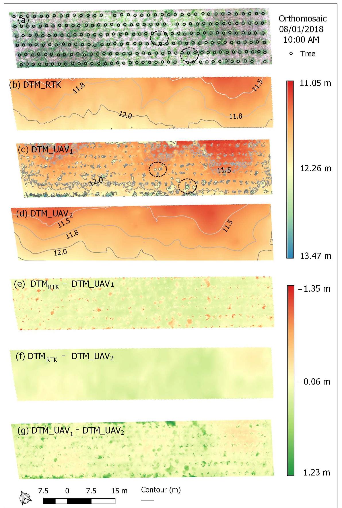 (PDF) Individual Tree Detection and Qualitative Inventory of a ...