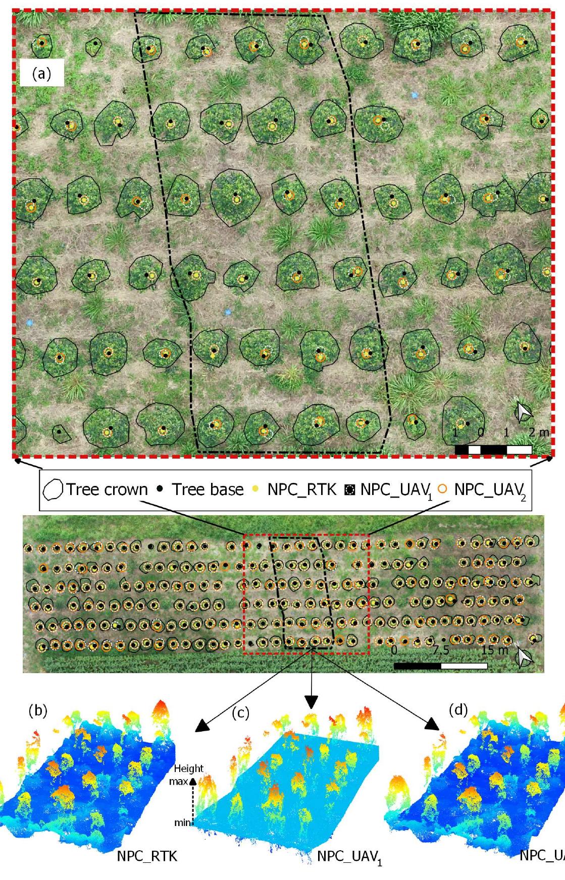 (PDF) Individual Tree Detection and Qualitative Inventory of a ...