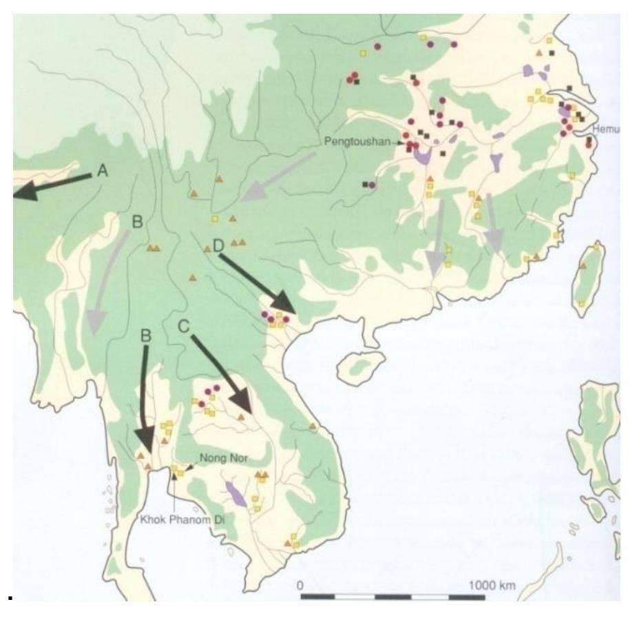 Figure 2 - The origin of the Phung Nguyen culture 1