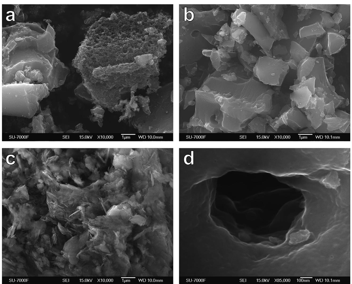 Scanning electron microscope images of (a) activated carbon