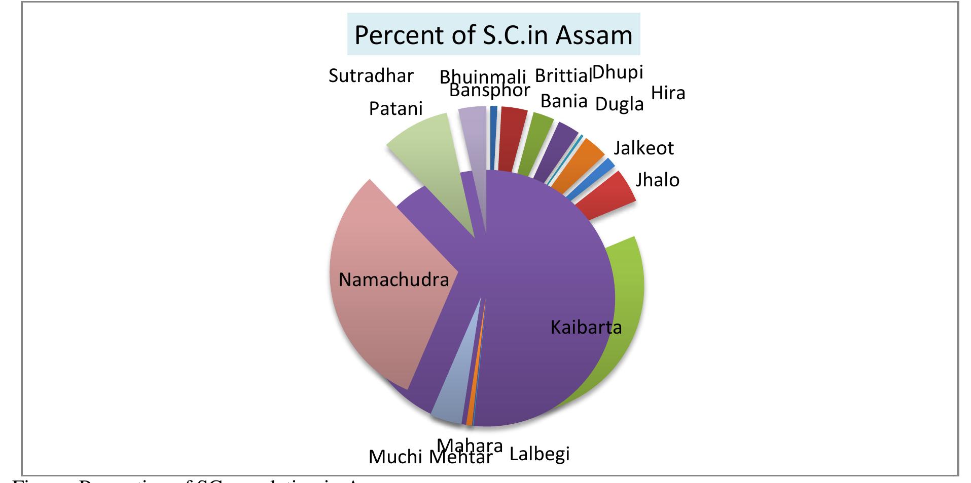 Saco Wc Bal ee cat ci or eet anacere tM  Kaibarttas are one of the most prominent groups among the scheduled caste communities inhabiting in Assam since long. According the census of India Kaibarttas are the largest scheduled caste communities of Assam having a total population of 294809 constitute 32.4% of the total Scheduled caste population of the state during 1971 census and become 581,559 constituting 31.8 % of the total S.C. population during 2001. As the community is not residing in a compact area or a specific location it is a herculean task to get accurate data of the kaibarttas and frame a proper action plan for their upliftment. The kaibarttas are spread over 770 villages in Assam, they are predominant in rural areas and accounts for more than 85 percent of total kaibarttas. There are different suggestions from different scholars regarding the origin of the term kaibartta, but in well accepted general sense we use the term to indicate the fishing community among the Scheduled castes population of Assam. In this regard two other communities Nadials and the Doams are also part of the kaibarttas.  Table-1: Scheduled Caste Population, 2001  