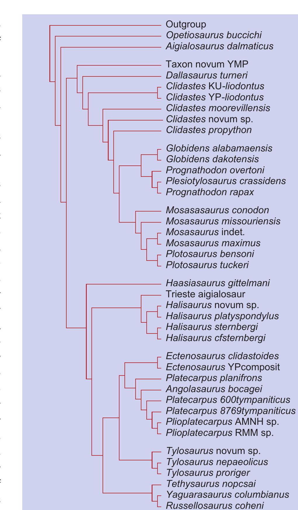 (PDF) Russellosaurus coheni n. gen., n. sp., a 92 million-year-old ...