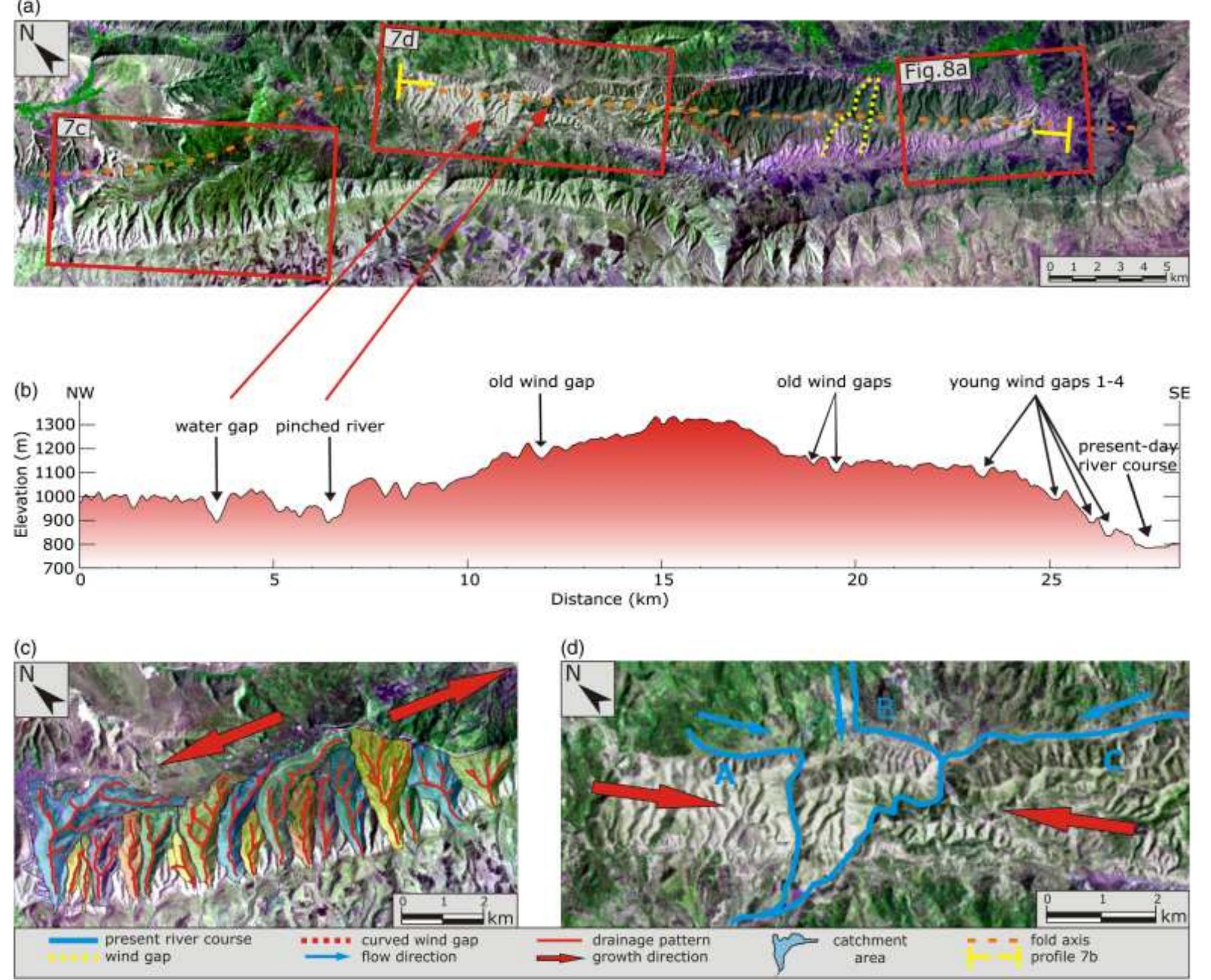 (PDF) Lateral fold growth and linkage in the Zagros fold and thrust ...