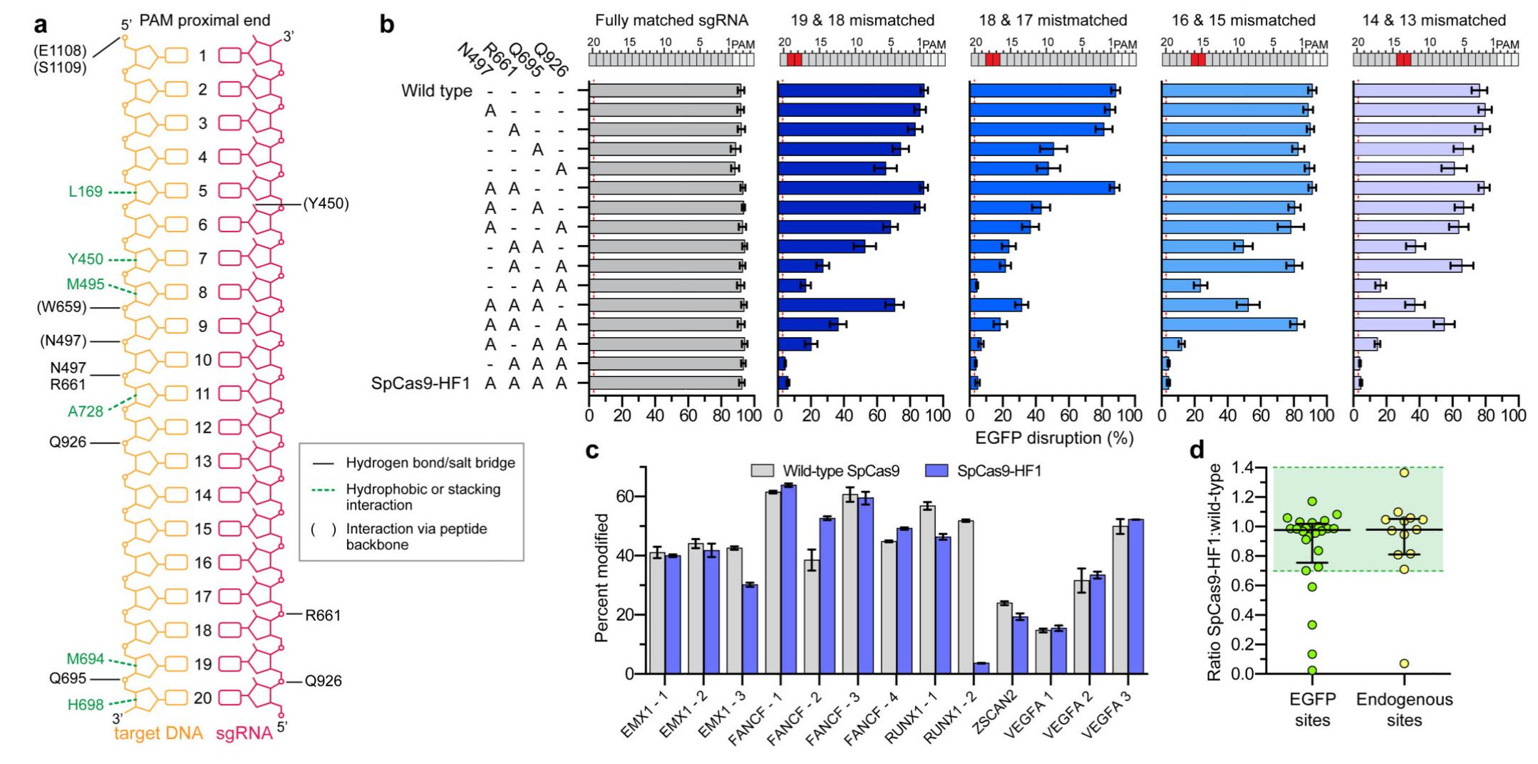 Identification and characterization of spcas9 variants