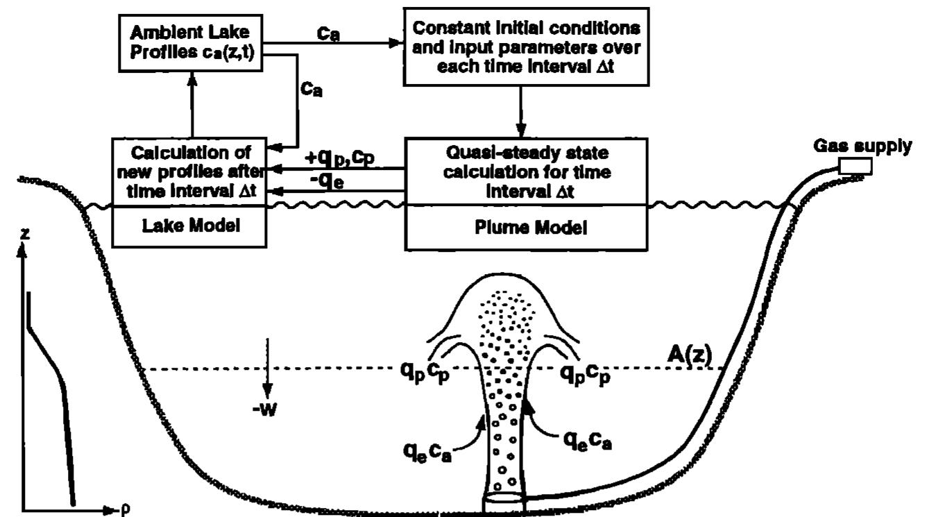A. schematic diagrams of the application of the bubble