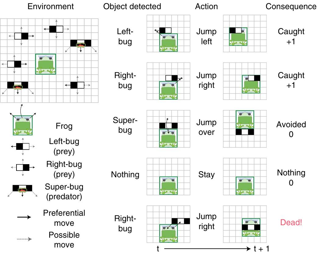 Figure 1 - from Causal reductionism and causal structures