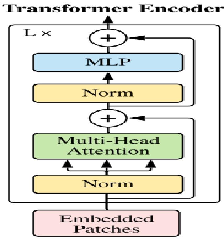 Architecture diagram of transformer encoder.