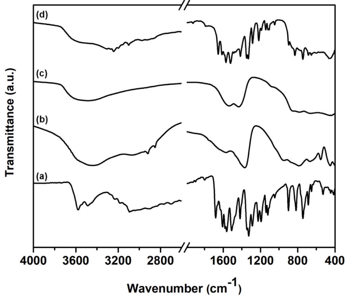 Fourier transform infrared (ft-ir) spectra of (a) intact