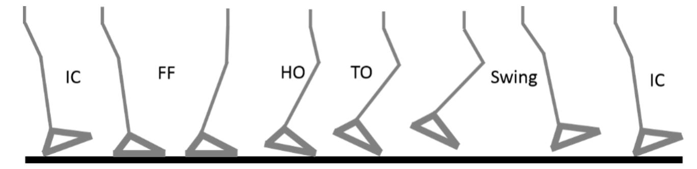 Toe Touch Classification Walking gait classification. initial contact (ic), foot flat