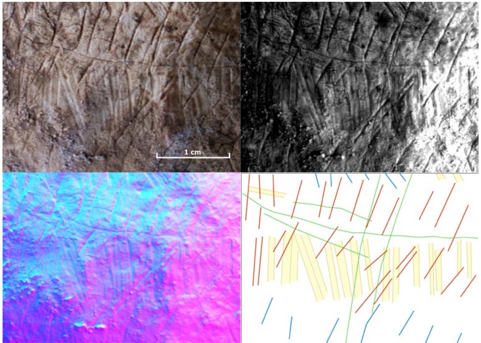 Figura 5: Grotta di Santa Maria di Agnano (Ostuni, BR): a-b) visualizzazione del dettaglio di un supporto calcareo con incisioni lineari non-figurative (SMA-test_2) in modalita Specular Enhancement [a) d.c. 90, sp. 05, h. s. 95; b) d.c. 0, sp. 30, h. s. 15]; c) modalita Normal visualization; d) rappresentazione grafica della sequenza dei segni individuati [giallo-blu (I ordine), verde (II ordine), rosso (III ordine)]. 