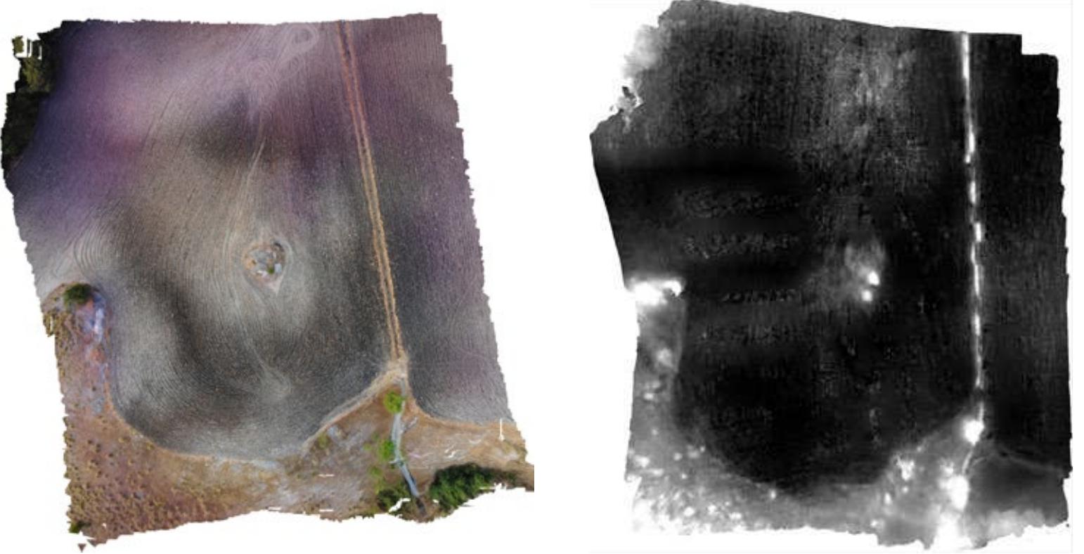 Figura 4: (a) Ortofoto in 4 bande (R, G, B, IR); (b) Ortofoto nella singola banda IR. 