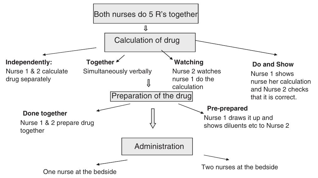 Double Check Process (PDF) Paediatric nurses' understanding of the process and procedure of ...