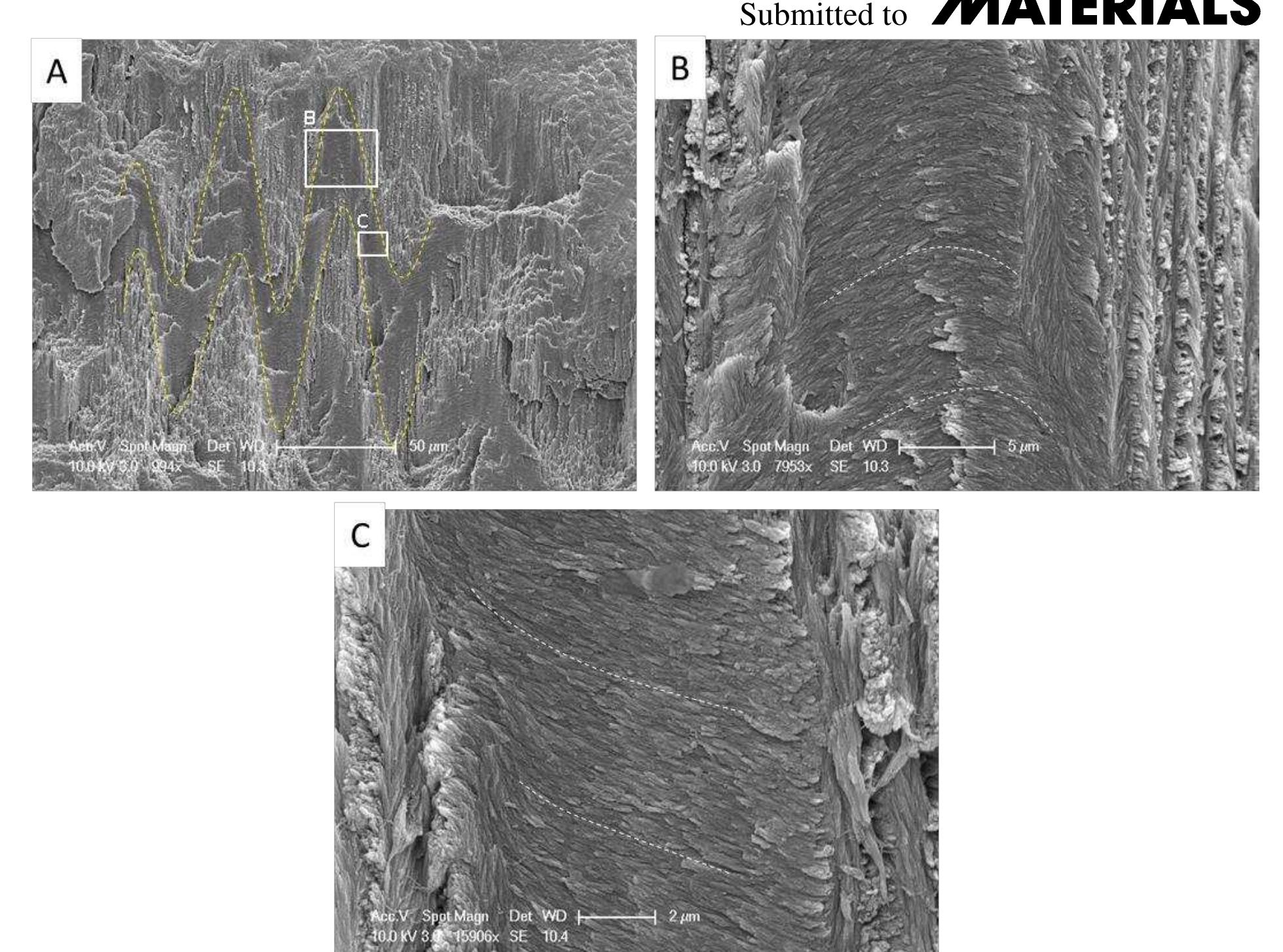 Figure 9 - from A Sinusoidally Architected Helicoidal