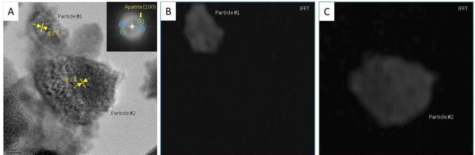Figure 10 - from A Sinusoidally Architected Helicoidal