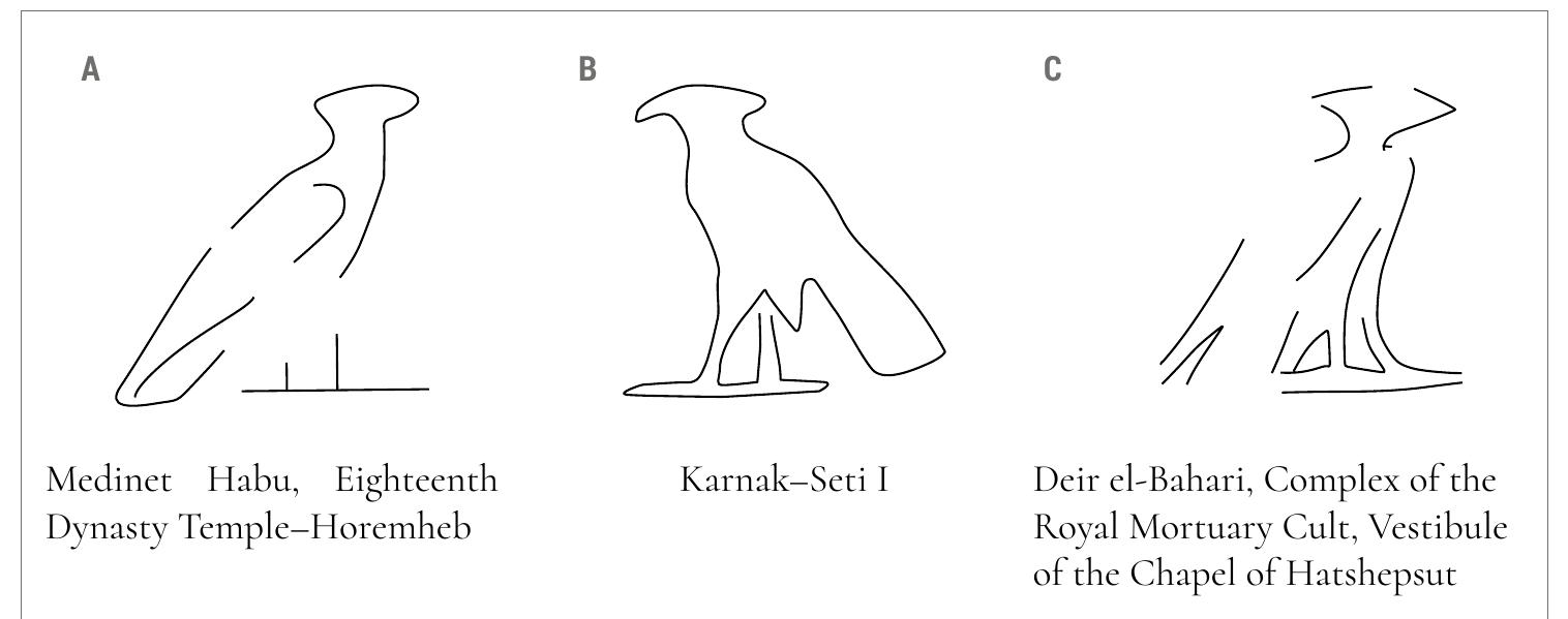 Figure 6 - Epigraphic notes on the aleph-sign (Gardiner G1)