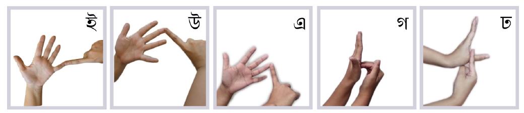(PDF) Real Time Bangladeshi Sign Language Detection using Faster R-CNN