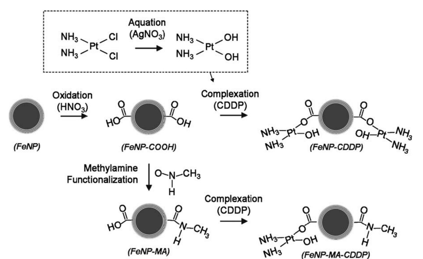 - schematic representation of drug loading on the
