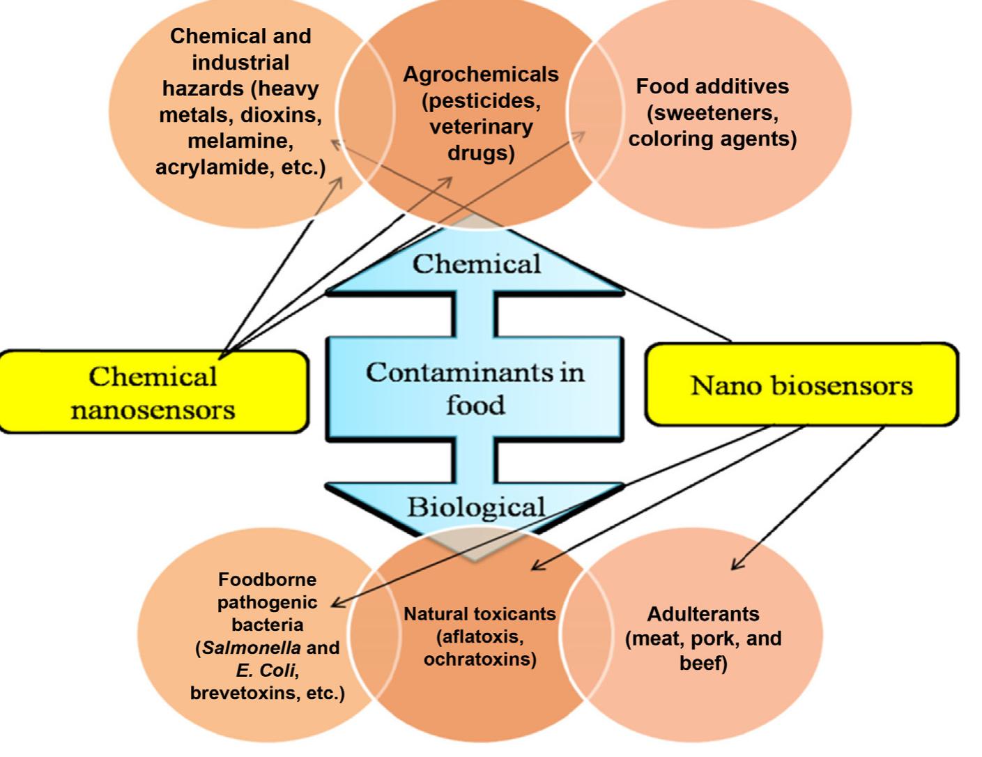 (PDF) Application of nanosensors in the food industry