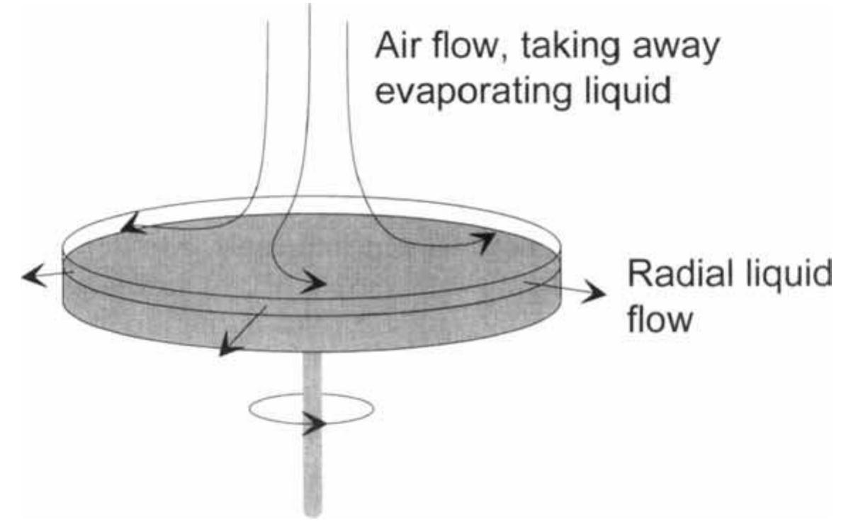 Schematic representation of the major processes taking place