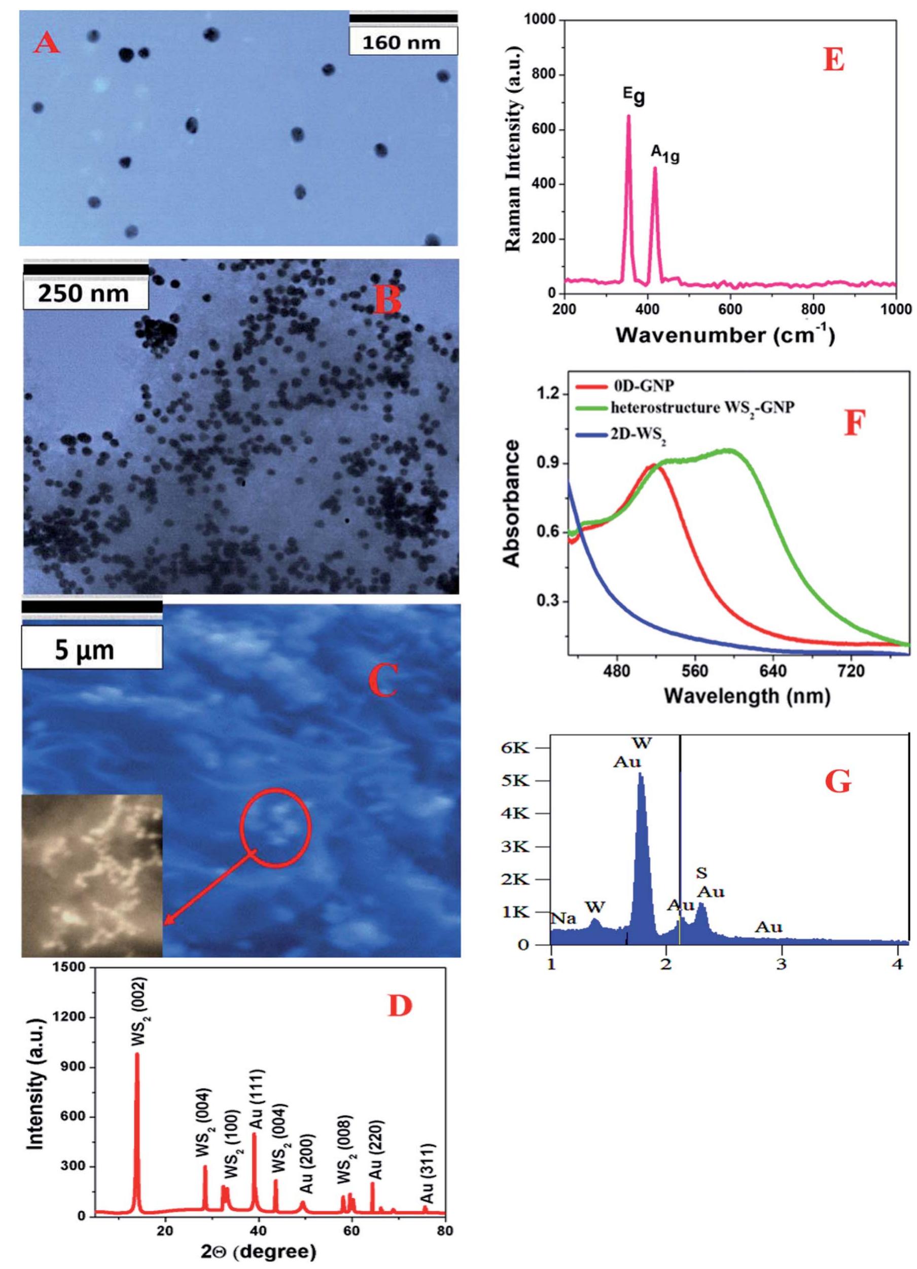 (a) a tem image showing the morphology of the od-gnps. (b) a