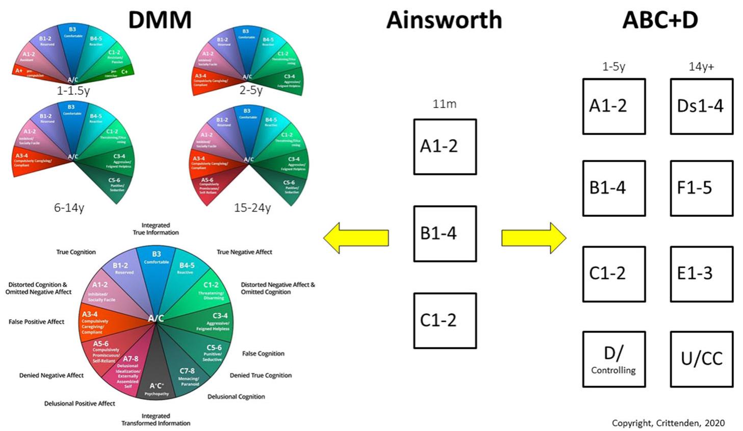 Figure 1. Comparison of the development of the categories of adult attachment in the DMM and Berkeley (ABC + D, 14y+) methods, used with permission {Colour figure can be viewed at wileyonlinelibrary.com] 