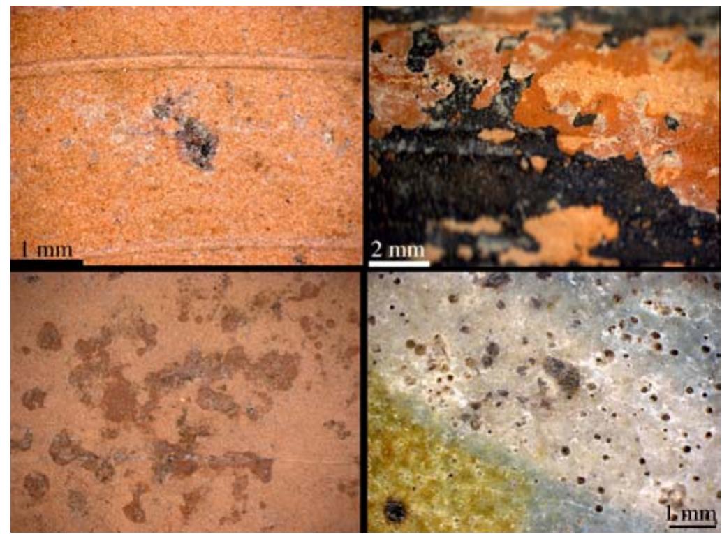 Optical micrographs of the surfaces of different ceramic