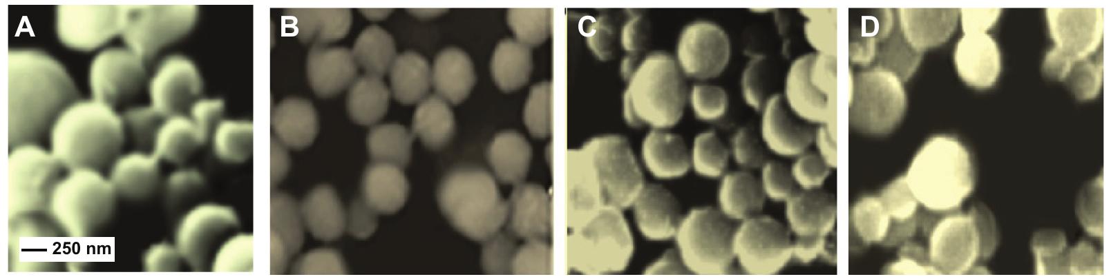 Representative sem micrograph of nanoparticles formulated