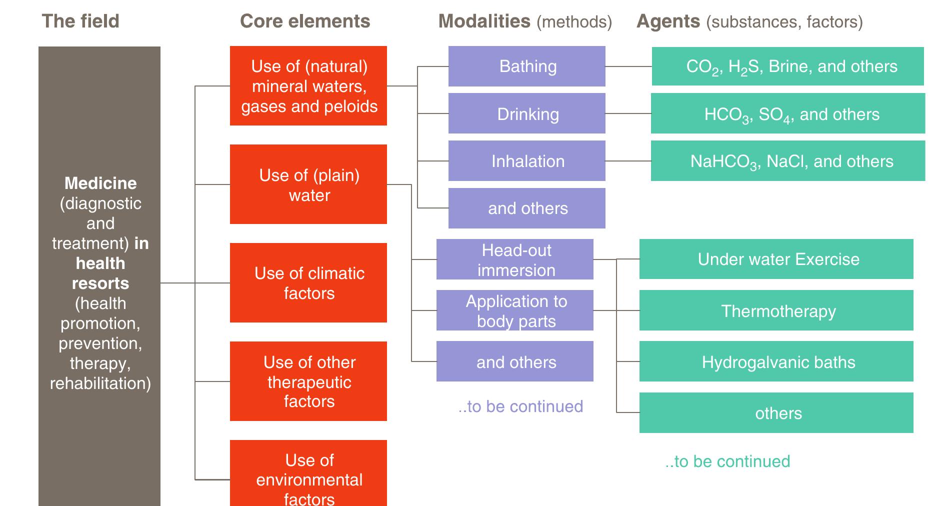 Scheme of the structure of the medical field
