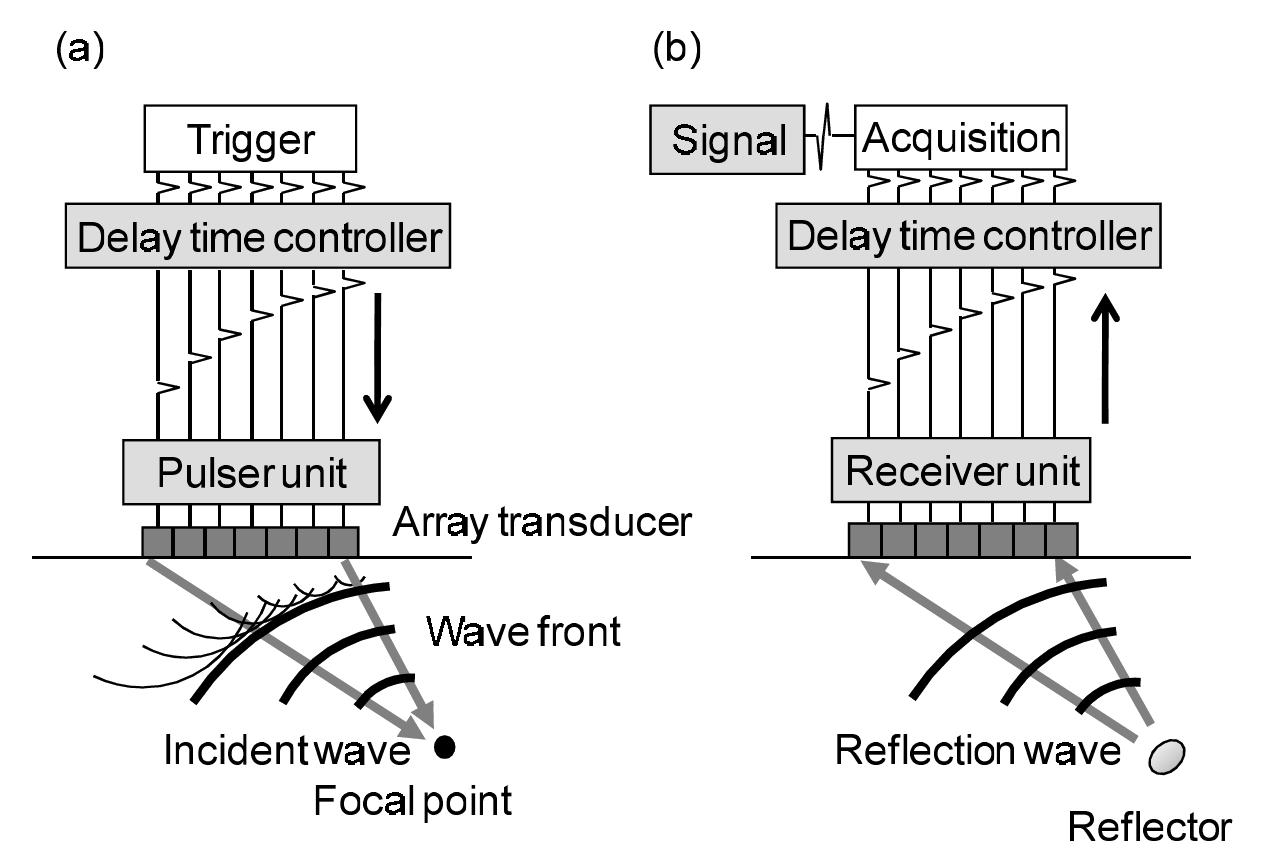 Figure 2 - from 3-D Modelings of an Ultrasonic Phased Array