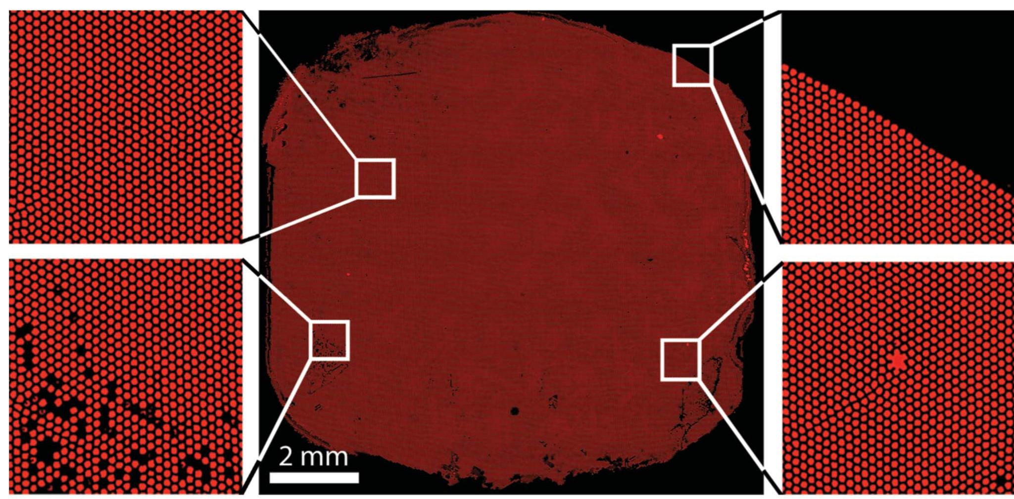 (PDF) Solid-phase PCR in a picowell array for immobilizing and arraying ...