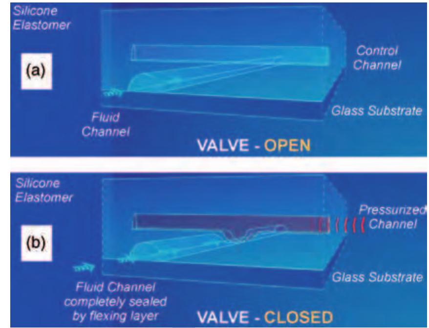 Figure 15 Schematic sketch of the microfluidic f( NanoFlex™ valve realized in the multilayer soft lithography (MSL) technology. (a) Liquid can pass through the fluid channel as long as no pressure is applied to the control channel. (6) An.increased pressure within the control channel causes the thin elastic polydimethylsiloxane (PDMS) membrane between the two channel layers to deflect into the fluid channel and blocks the liquid flow therein, i.e., the valve is closed. (Source: Fluidigm Corporation 2006 San Francisco, USA, www.fluidigm.com, accessed 2006.) 